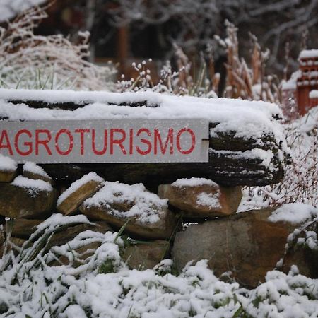 Hotel Agroturismo Iabiti-Aurrekoa Zamudio Exterior foto